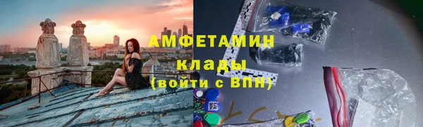 шишки Абаза