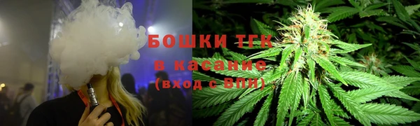 шишки Абаза