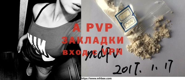 шишки Абаза