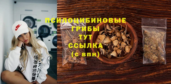 гидра Алзамай