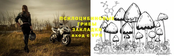 ПСИЛОЦИБИНОВЫЕ ГРИБЫ Абдулино